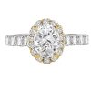 Two-Tone Halo Semi-Mount Ring - Image 2